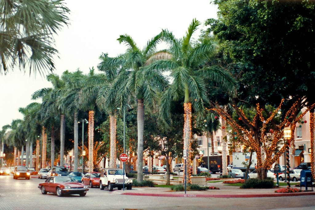 Palm-lined plaza at Mizner Park in Boca Raton, with string-lit trees, parked cars and shopfronts